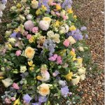 #### Luxury pastel coloured casket spray with garden roses and mixed flowers seasonal foliage
3ft £175    4ft £225   5ft £325 (as shown)