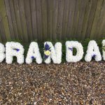 ### Based Grandad with ribbon or foliage edging and posies £245.00